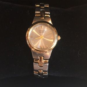 Delicate Citizen watch